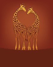 Valentine Day Postcard With Giraffes, Vector