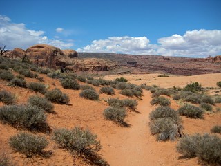 Wall Mural - Desolate landscape around Moab, Corona Arch Trail, nr Arches NP