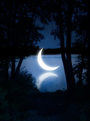 Wall Mural - moon