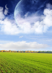 Wall Mural - fields of a far planet