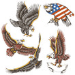 vector illustration tattoo (Eagle - graphic)