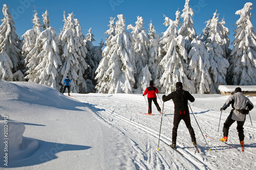 Fototapety biegi narciarskie  narciarstwo-4542