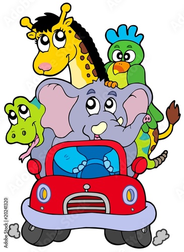 Obraz w ramie African animals in red car