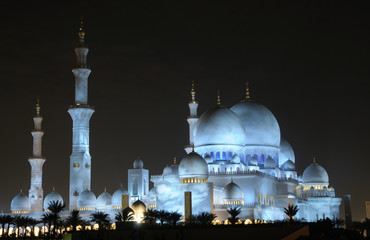 Fototapete - Sheikh Zayed Mosque illuminated at night, Abu Dhabi
