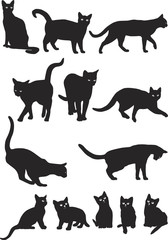  Cats