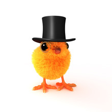 Top Hat Chick