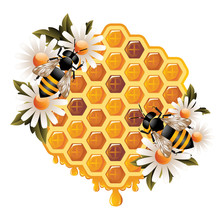 Floral Honey Concept