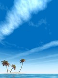 Fototapeta  - High resolution conceptual island with palm trees