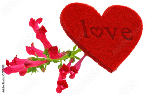 Love Coeur Fleur Rouge Fond Blanc Buy This Stock Photo And