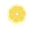 sliced lemon vector illustration