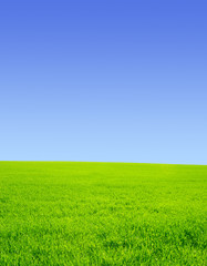 beautiful landscape