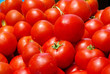 canvas print picture - Tomate - tomato 33
