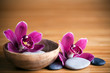 Composition zen - fleurs orchidÃ©e et pierres 