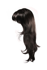 Wall Mural - black  hair