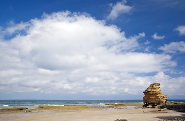 Canvas Print - beach