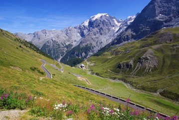 Wall Mural - Stilfser Joch - Stelvio Pass 19