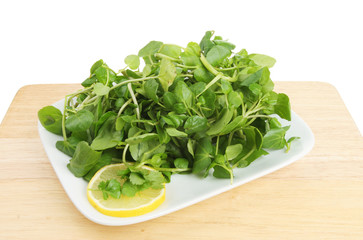 Watercress