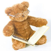 Teddy Bear Reading A Book