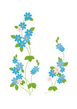The Blue Flowers Of Forget-me -