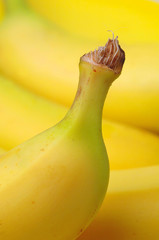 Banane