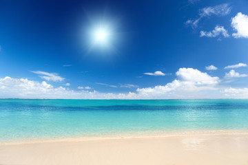 Wall Mural - sand of beach caribbean sea