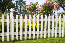 Old Picket Fence
