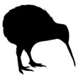 silhouette of kiwi