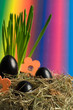 Leinwandbild Motiv buntes Nest zu Ostern