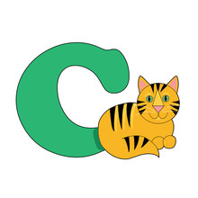Letter C With A Cat