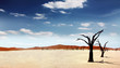 Einsame Wüste