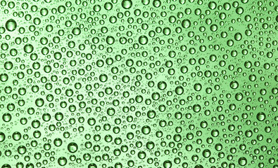 Wall Mural - Water drops over green background