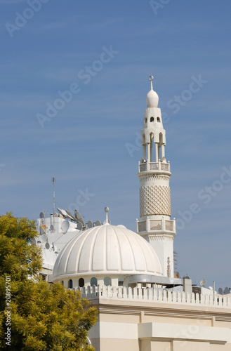 Fotografia, Obraz White Mosque in Dubai, United Arab Emirates