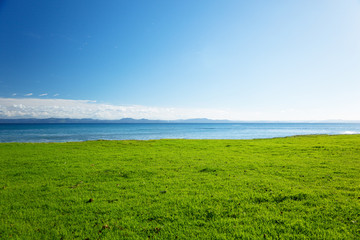 Wall Mural - Caribbean sea and field of green grass