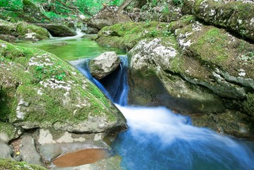 spring brook