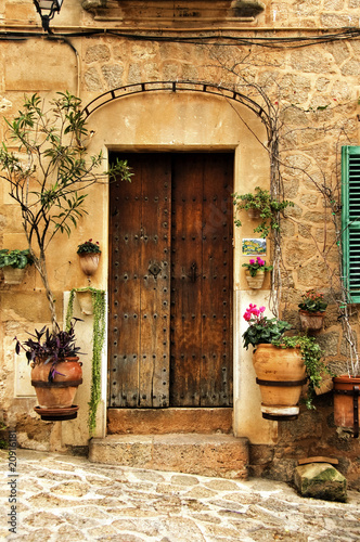 Fototapeta na wymiar view of Valldemossa