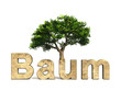3D Baum und Text für den Umweltschutz