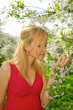 © Sergios - Young woman in red dress enjoying smell of blooming tree