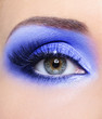 © Valua Vitaly - Blue fashion make-up of woman eye