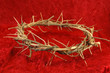 Crown of Thorns on Red Background.