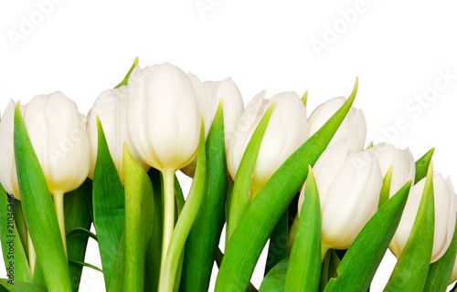 Dekoracja na wymiar  tulipany