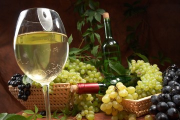 Wall Mural - White dry wine, fresh clusters of a grapes