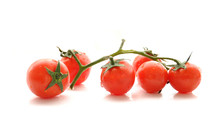 Tomates Cerise En Branche, Fond Blanc
