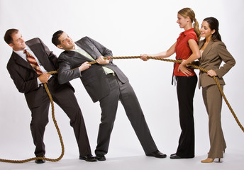 Wall Mural - Business people playing tug-of-war