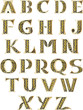 © silvio_v - Celtic Alphabet