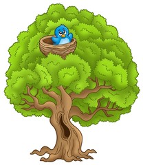 Wall Mural - Big tree with blue bird in nest