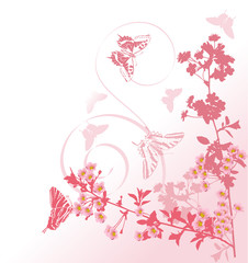 Canvas Print - pink cherry tree branches and butterflies