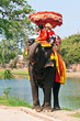 © travelview - tourists on an elefant ride  in Ajutthaja