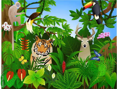 Naklejka dekoracyjna Wild animal in the tropical jungle