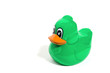 Green duck