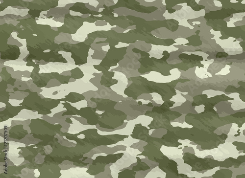 Fotografía illustration of disruptive camouflage material